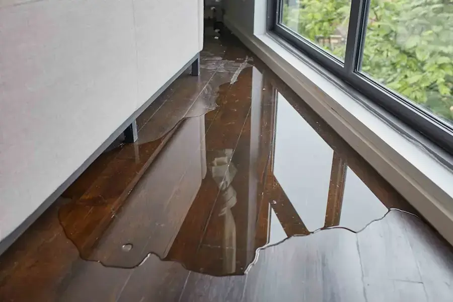 Water pooled across a wood-look floor beside a window before extraction