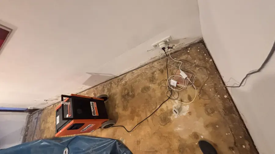 A dehumidifier running on a stained subfloor after the flooring came up