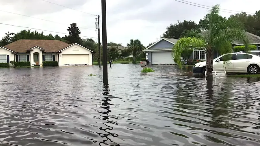 Flooded street with palms and a parked car, like the street flooding seen in Largo