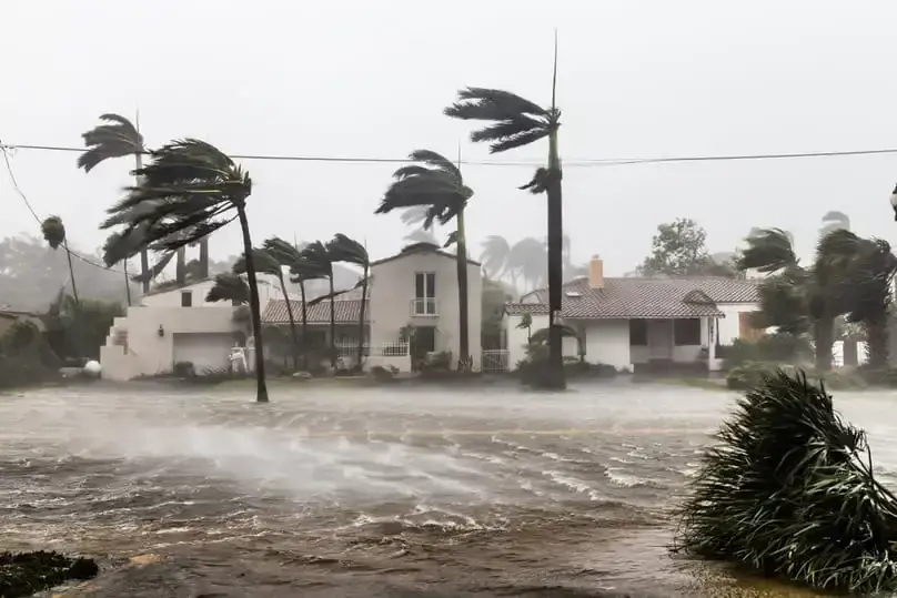 Palm trees bent by hurricane winds over storm water on a waterfront street