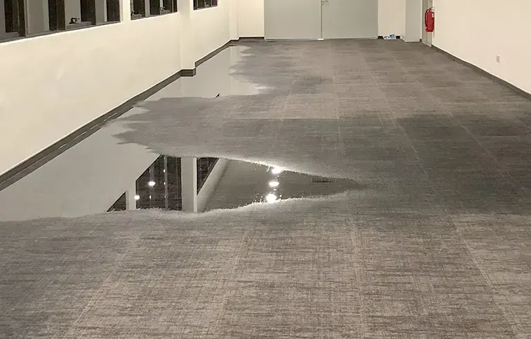 Water pooled across carpet tiles on an empty office floor